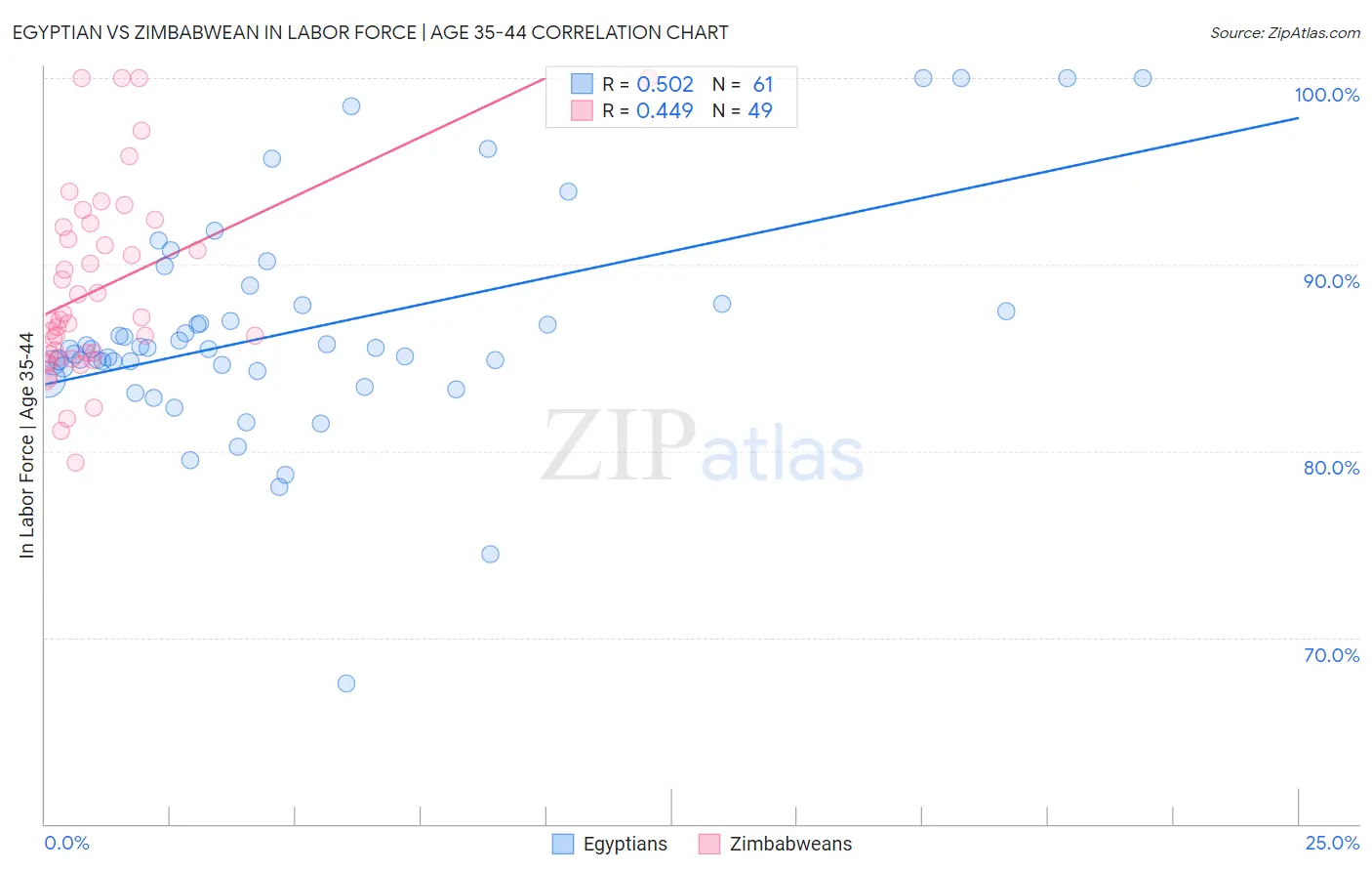 Egyptian vs Zimbabwean In Labor Force | Age 35-44