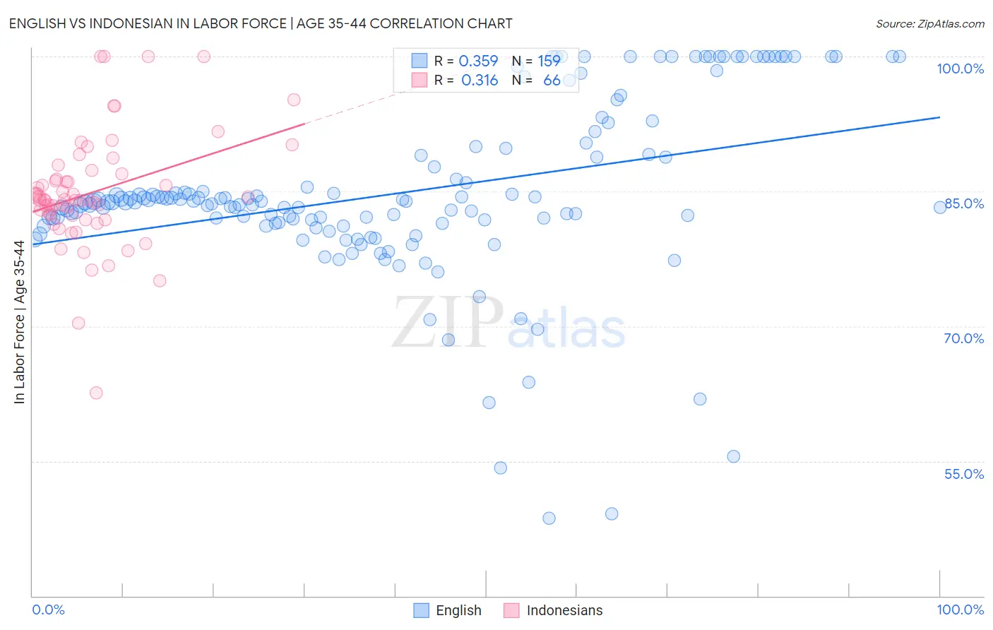 English vs Indonesian In Labor Force | Age 35-44