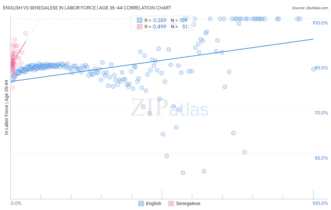 English vs Senegalese In Labor Force | Age 35-44