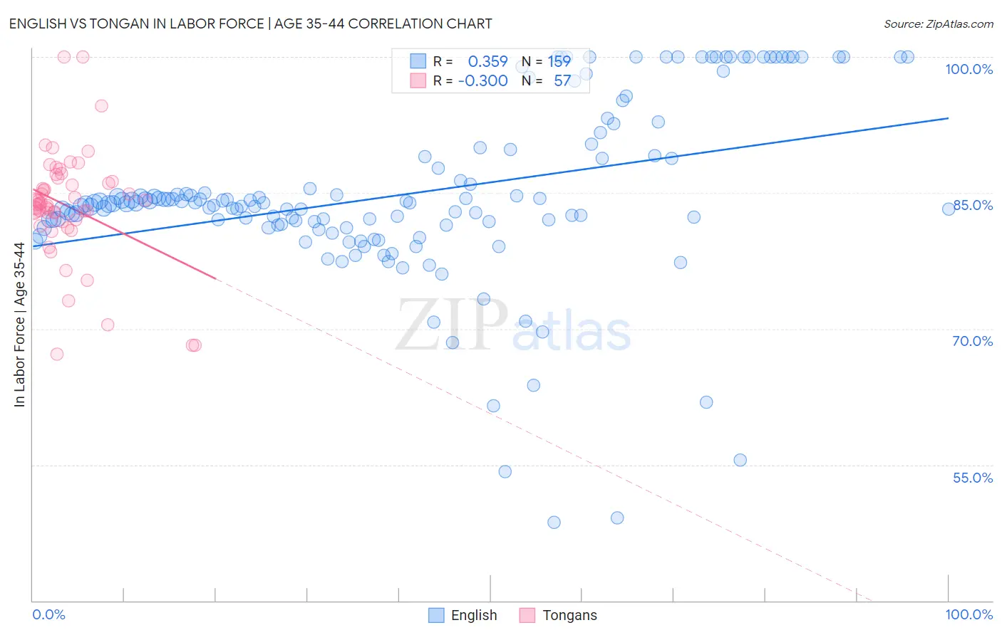 English vs Tongan In Labor Force | Age 35-44