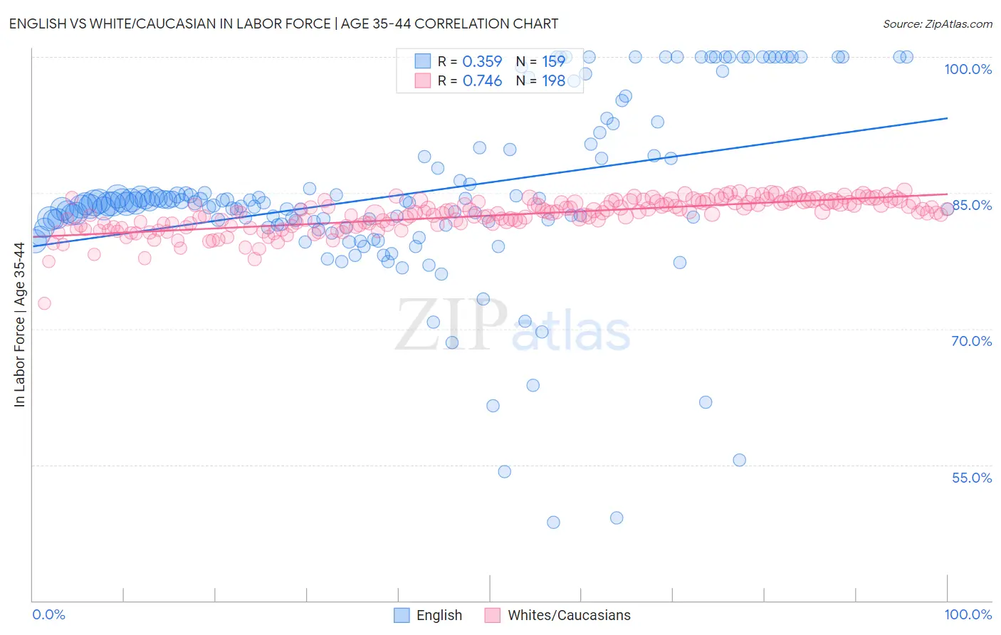 English vs White/Caucasian In Labor Force | Age 35-44