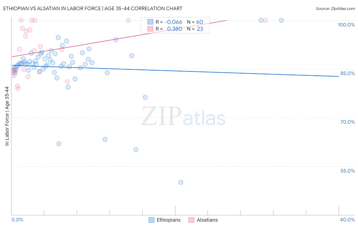 Ethiopian vs Alsatian In Labor Force | Age 35-44