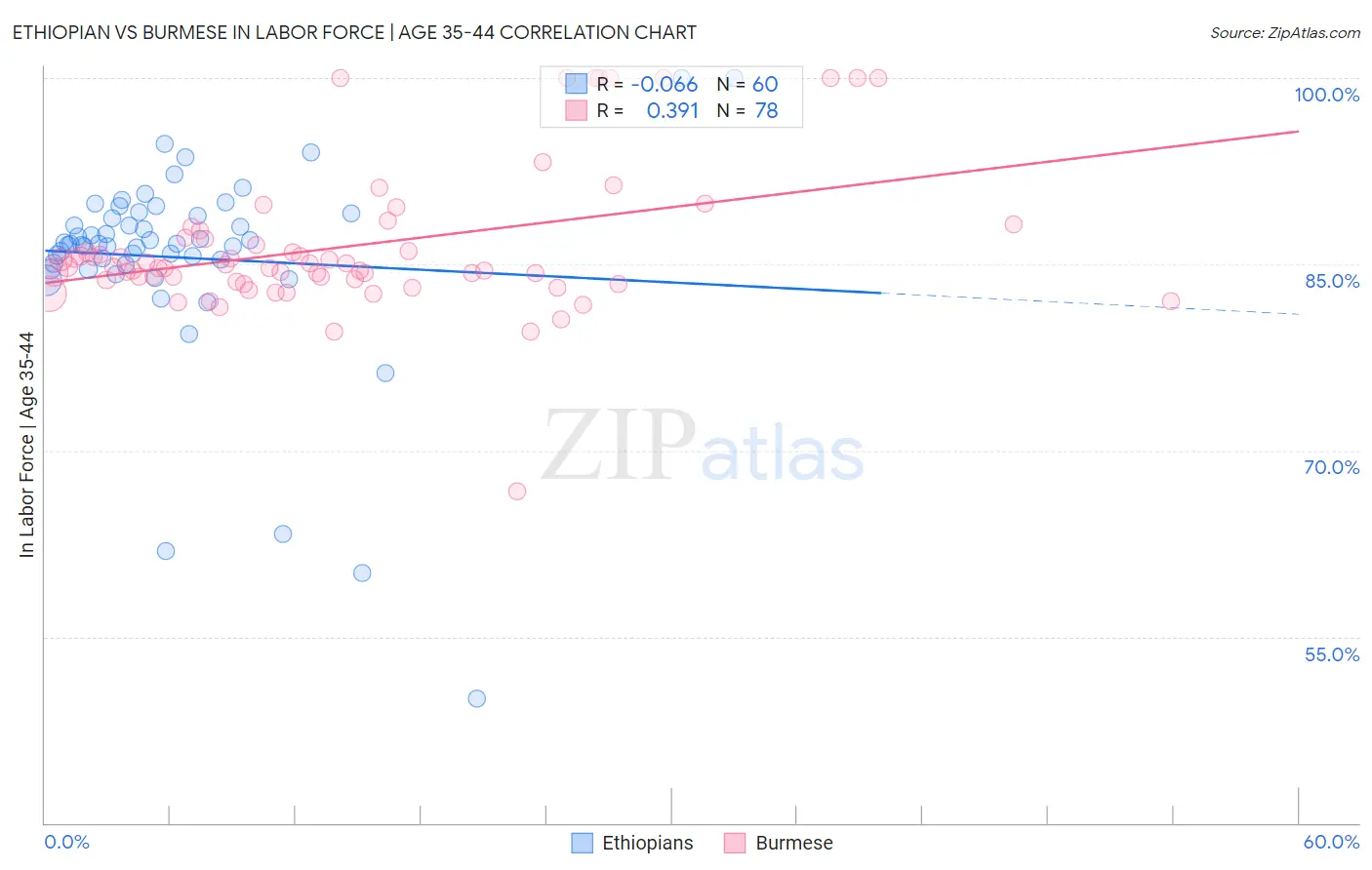 Ethiopian vs Burmese In Labor Force | Age 35-44