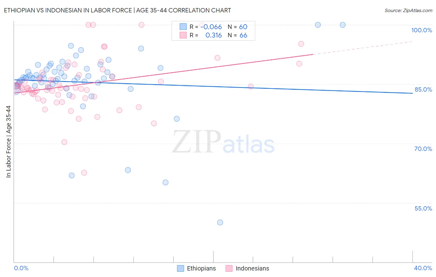 Ethiopian vs Indonesian In Labor Force | Age 35-44