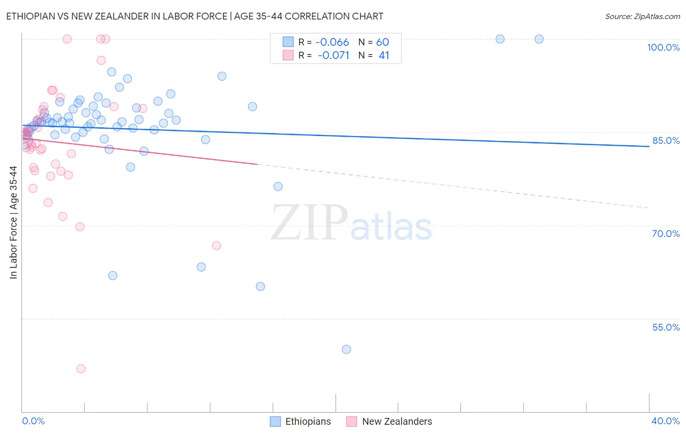 Ethiopian vs New Zealander In Labor Force | Age 35-44