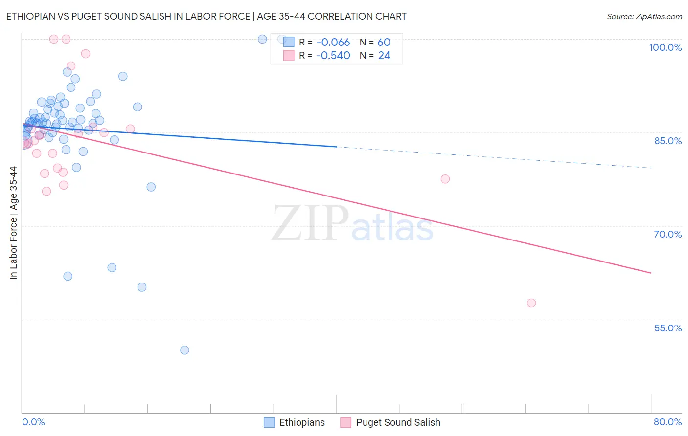 Ethiopian vs Puget Sound Salish In Labor Force | Age 35-44