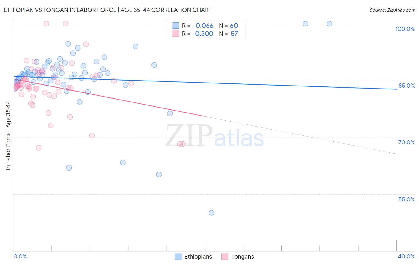Ethiopian vs Tongan In Labor Force | Age 35-44