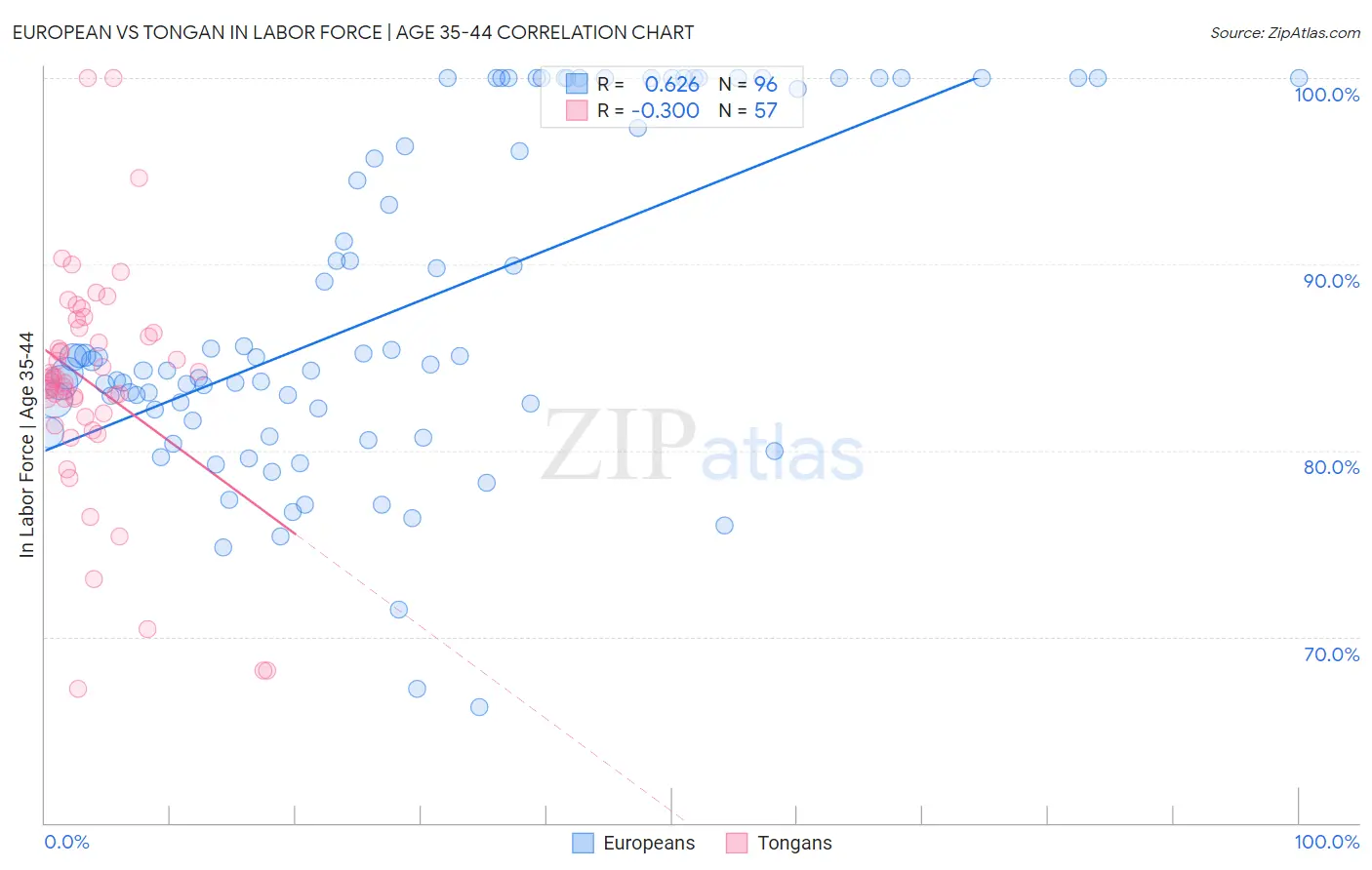 European vs Tongan In Labor Force | Age 35-44