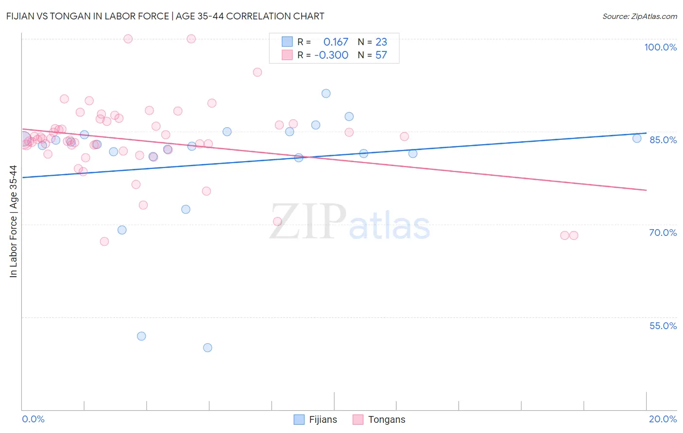 Fijian vs Tongan In Labor Force | Age 35-44