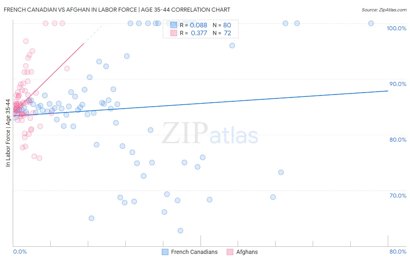 French Canadian vs Afghan In Labor Force | Age 35-44