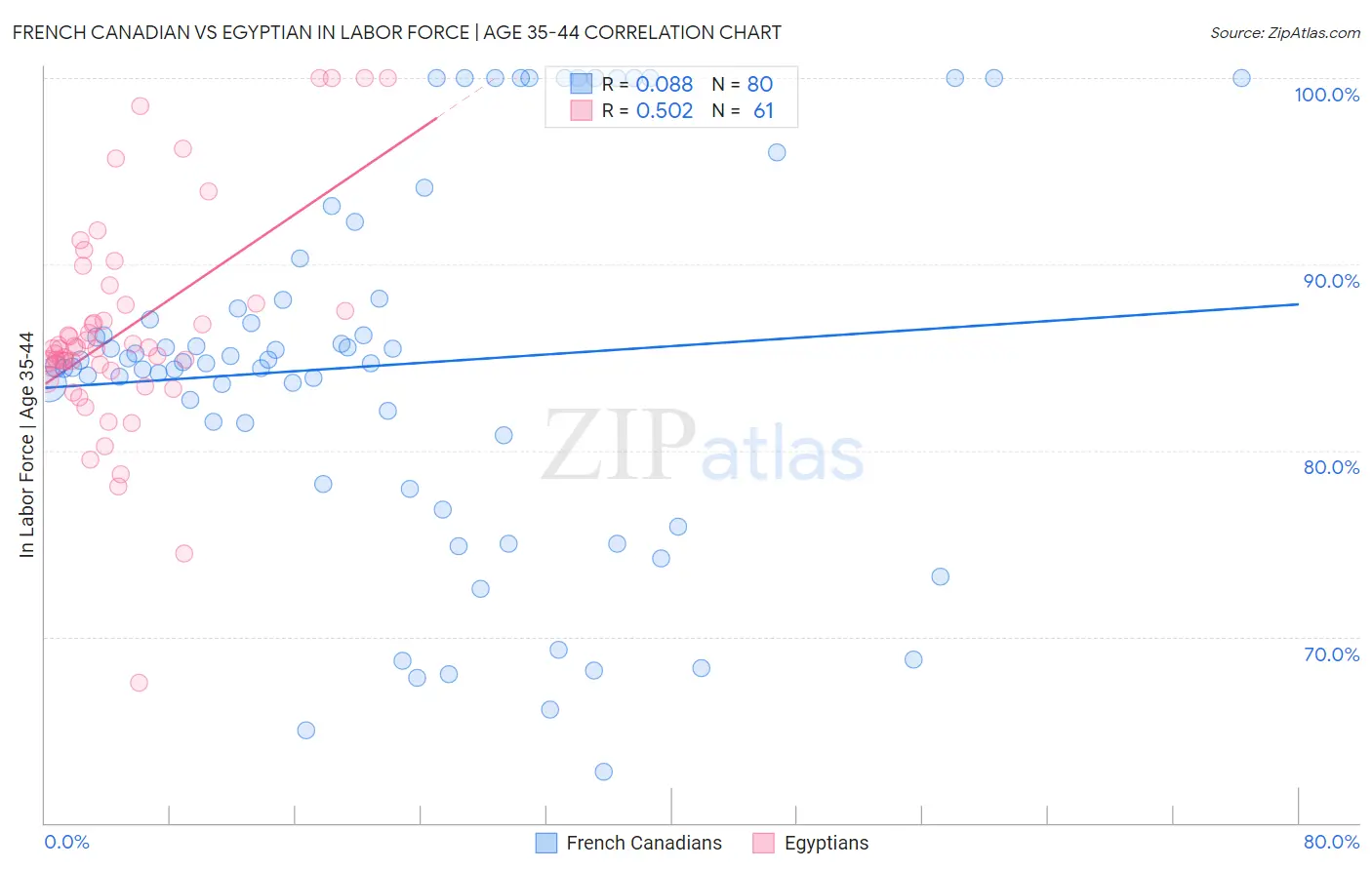 French Canadian vs Egyptian In Labor Force | Age 35-44