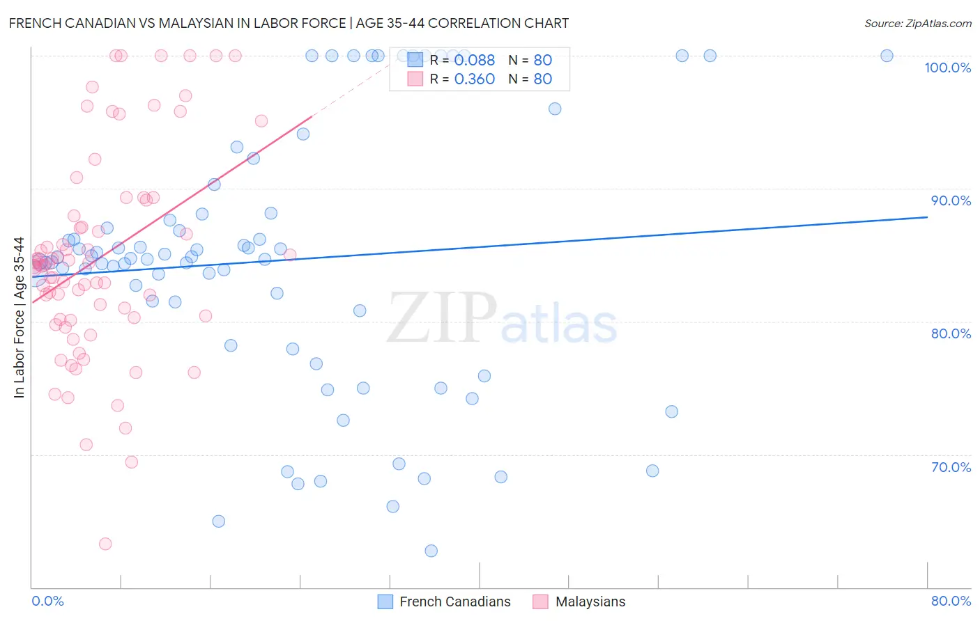 French Canadian vs Malaysian In Labor Force | Age 35-44