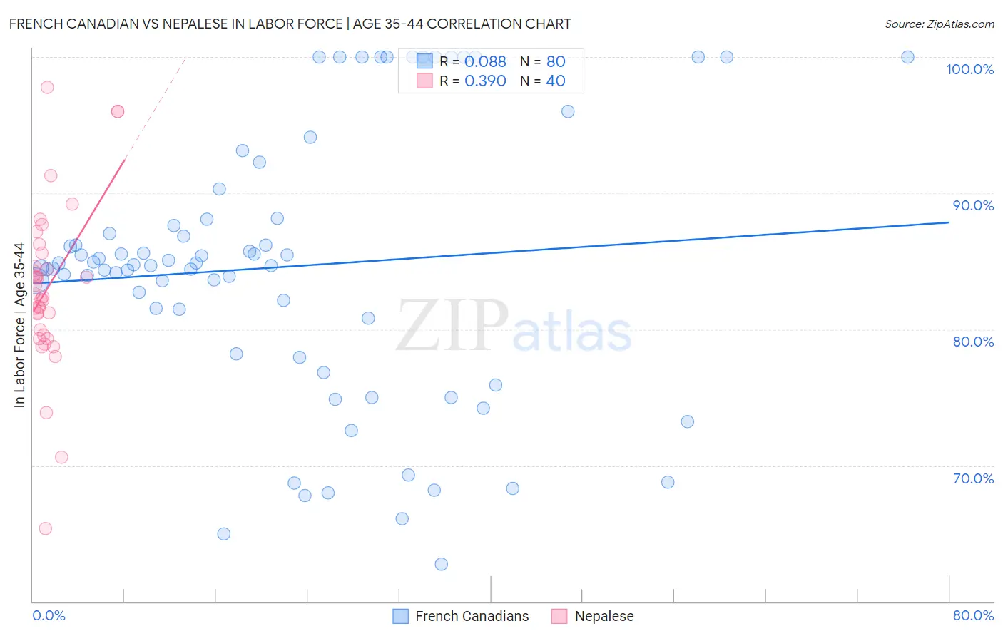 French Canadian vs Nepalese In Labor Force | Age 35-44