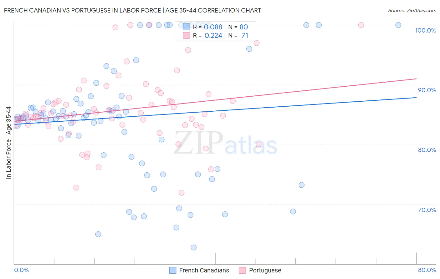 French Canadian vs Portuguese In Labor Force | Age 35-44