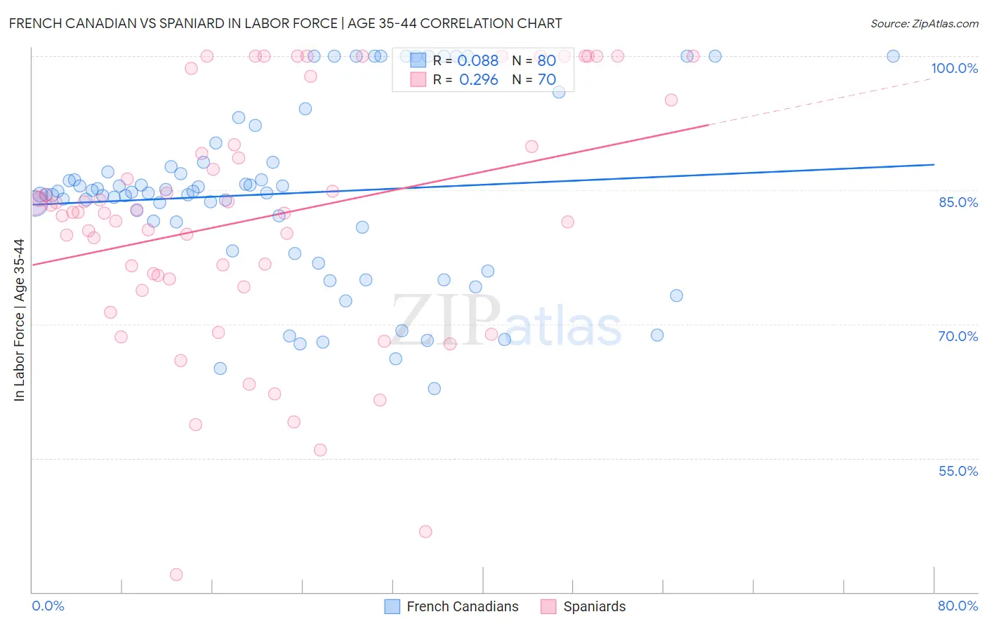 French Canadian vs Spaniard In Labor Force | Age 35-44