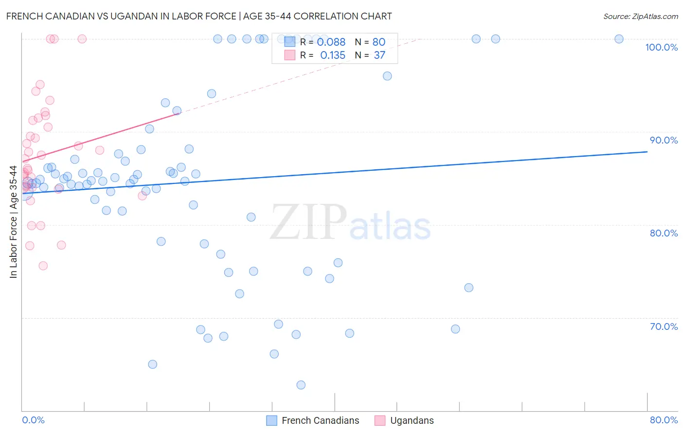 French Canadian vs Ugandan In Labor Force | Age 35-44