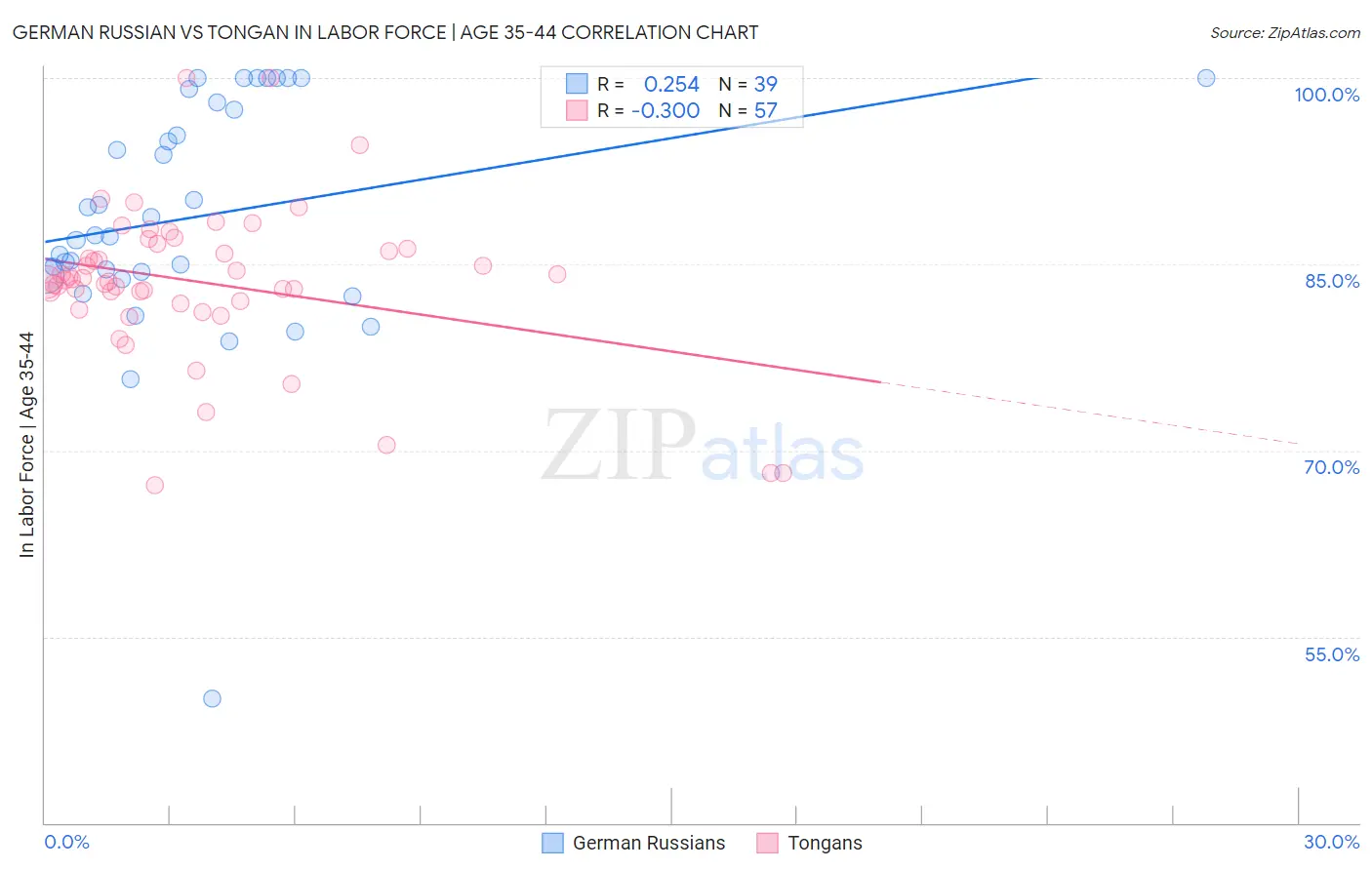 German Russian vs Tongan In Labor Force | Age 35-44