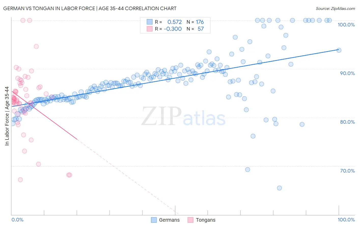 German vs Tongan In Labor Force | Age 35-44