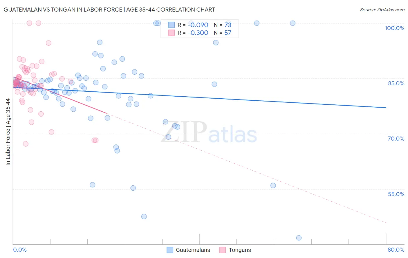 Guatemalan vs Tongan In Labor Force | Age 35-44