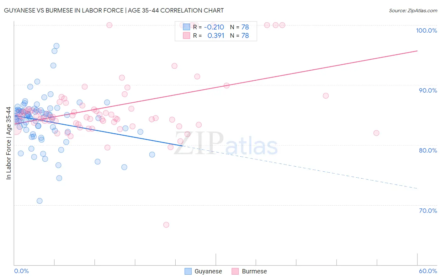 Guyanese vs Burmese In Labor Force | Age 35-44