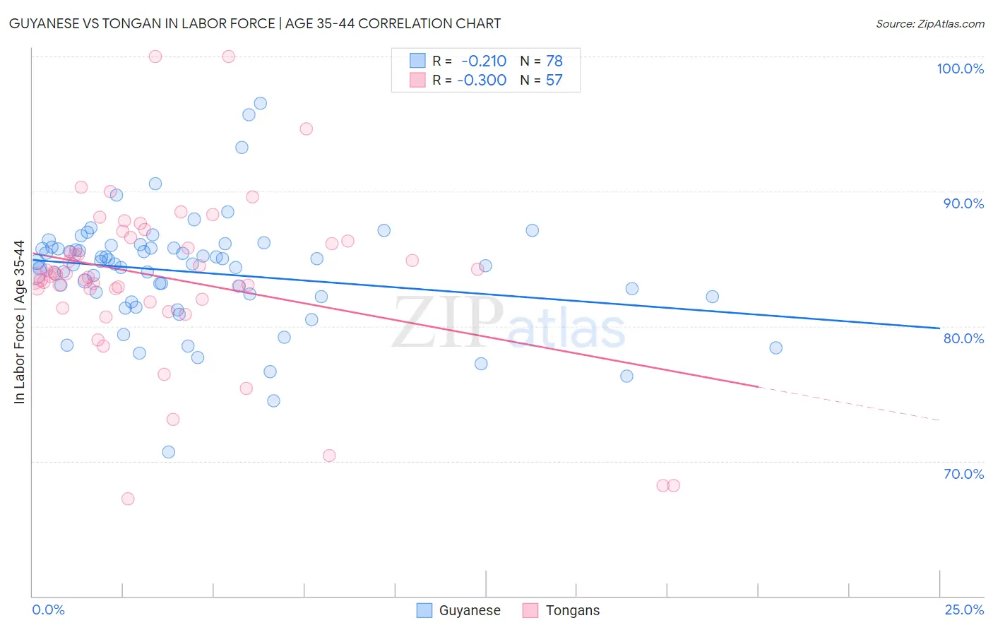 Guyanese vs Tongan In Labor Force | Age 35-44