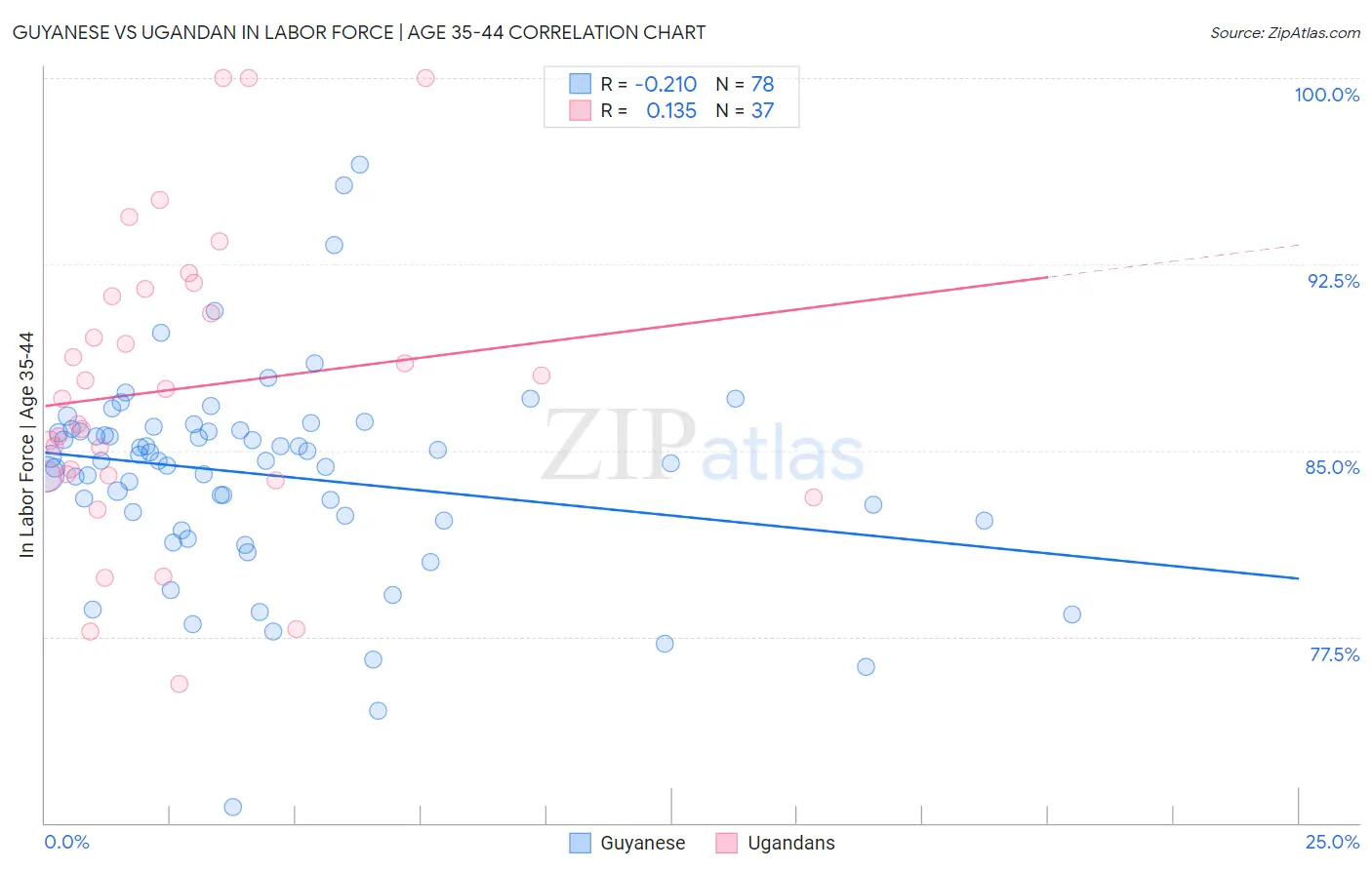 Guyanese vs Ugandan In Labor Force | Age 35-44