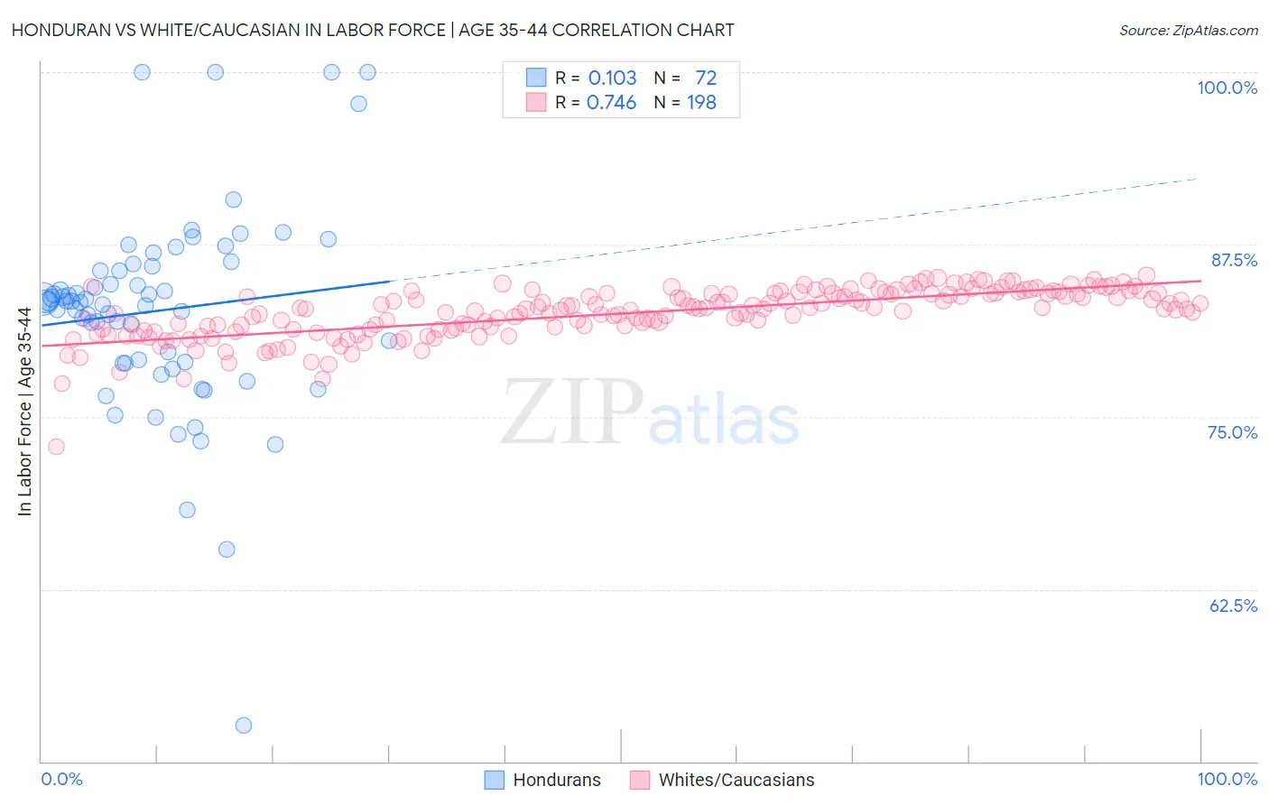 Honduran vs White/Caucasian In Labor Force | Age 35-44