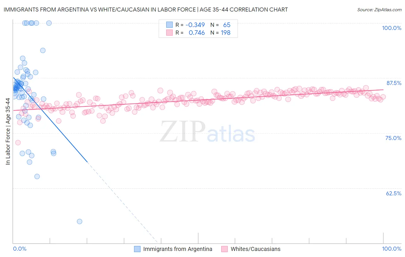 Immigrants from Argentina vs White/Caucasian In Labor Force | Age 35-44