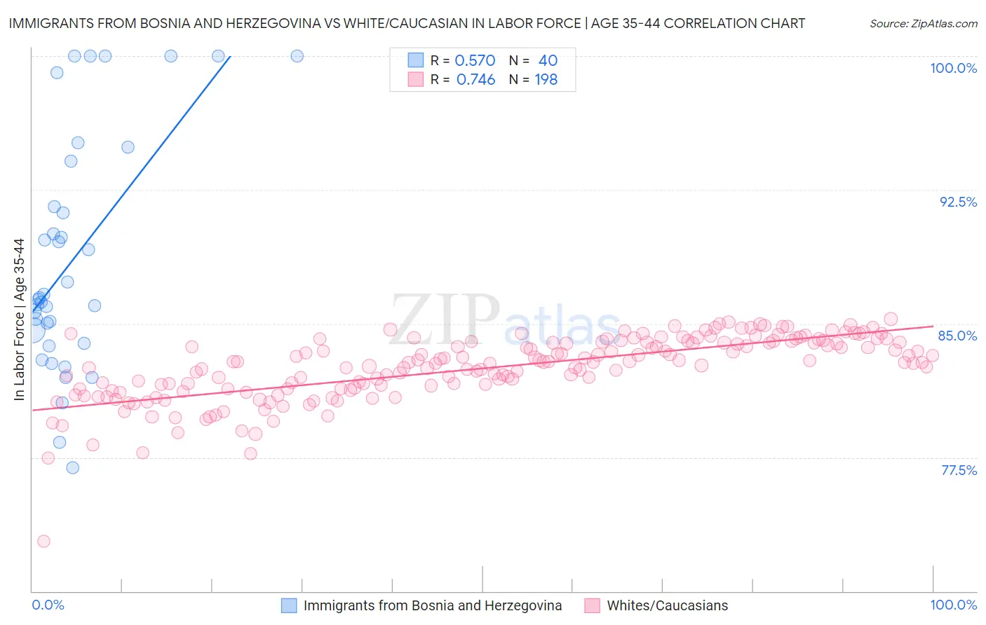 Immigrants from Bosnia and Herzegovina vs White/Caucasian In Labor Force | Age 35-44