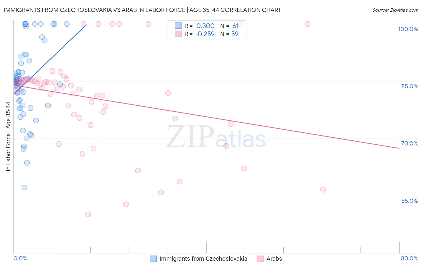 Immigrants from Czechoslovakia vs Arab In Labor Force | Age 35-44