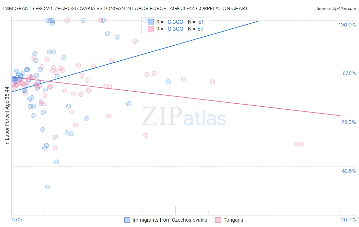 Immigrants from Czechoslovakia vs Tongan In Labor Force | Age 35-44