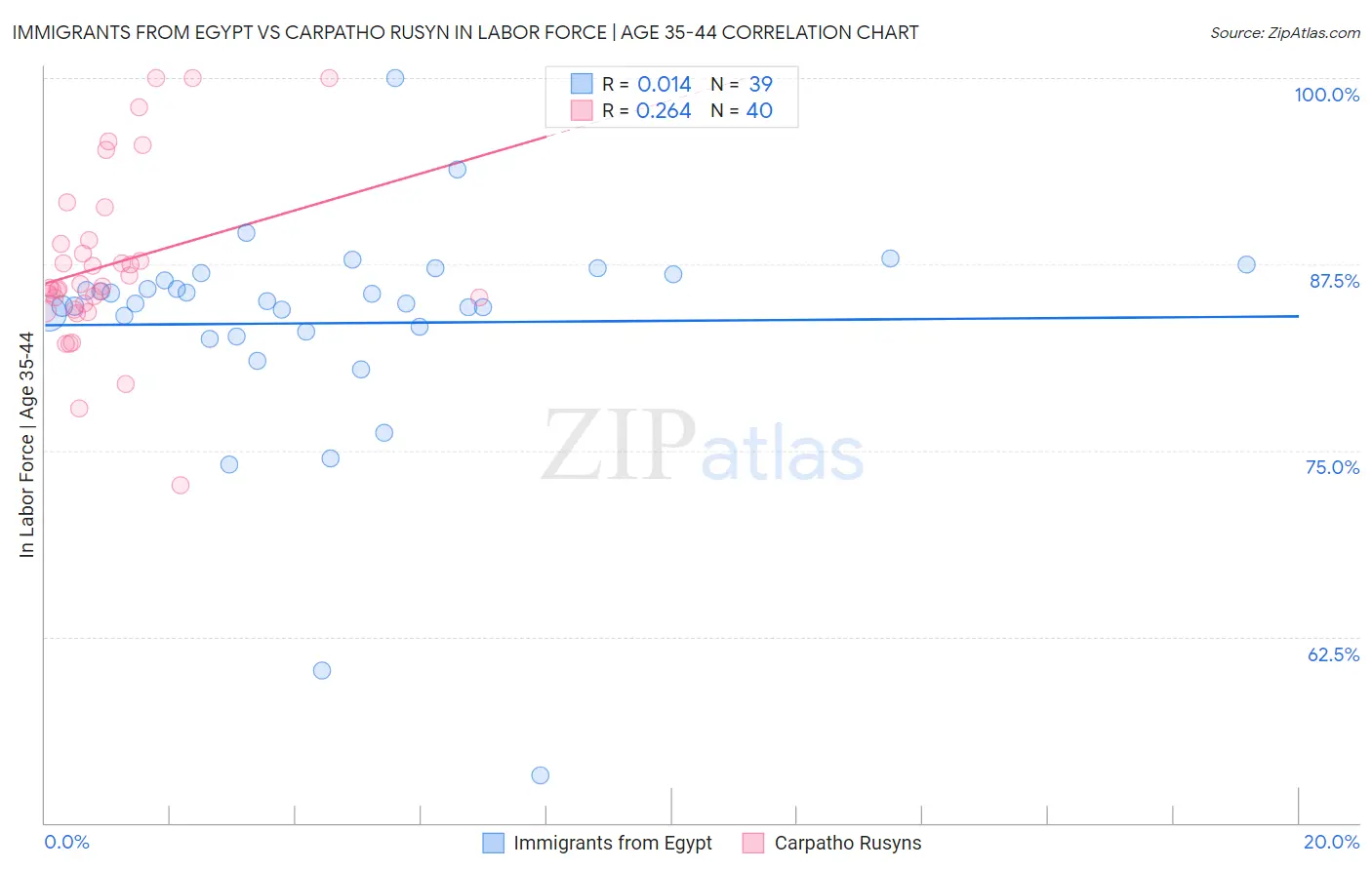 Immigrants from Egypt vs Carpatho Rusyn In Labor Force | Age 35-44