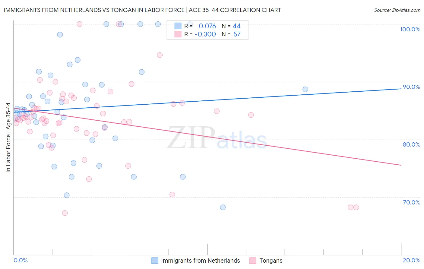 Immigrants from Netherlands vs Tongan In Labor Force | Age 35-44