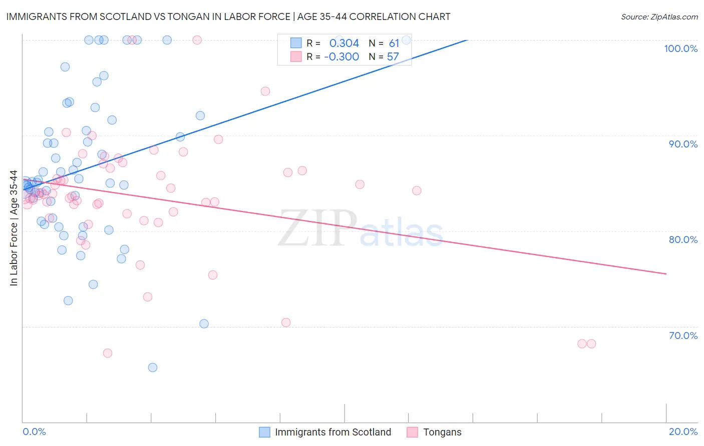 Immigrants from Scotland vs Tongan In Labor Force | Age 35-44