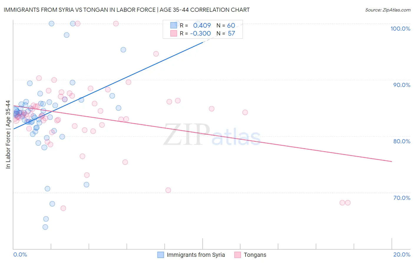 Immigrants from Syria vs Tongan In Labor Force | Age 35-44