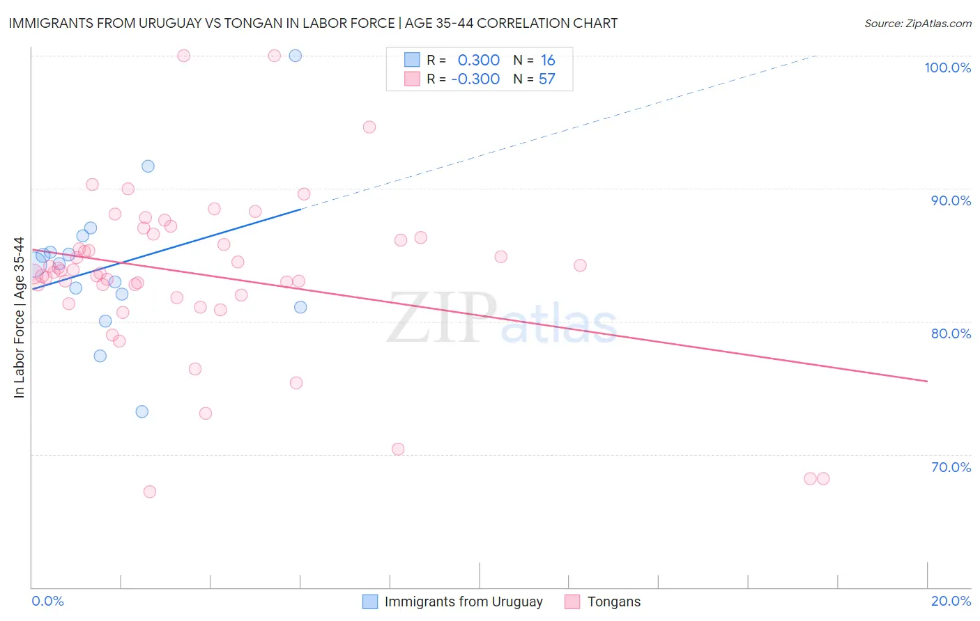 Immigrants from Uruguay vs Tongan In Labor Force | Age 35-44