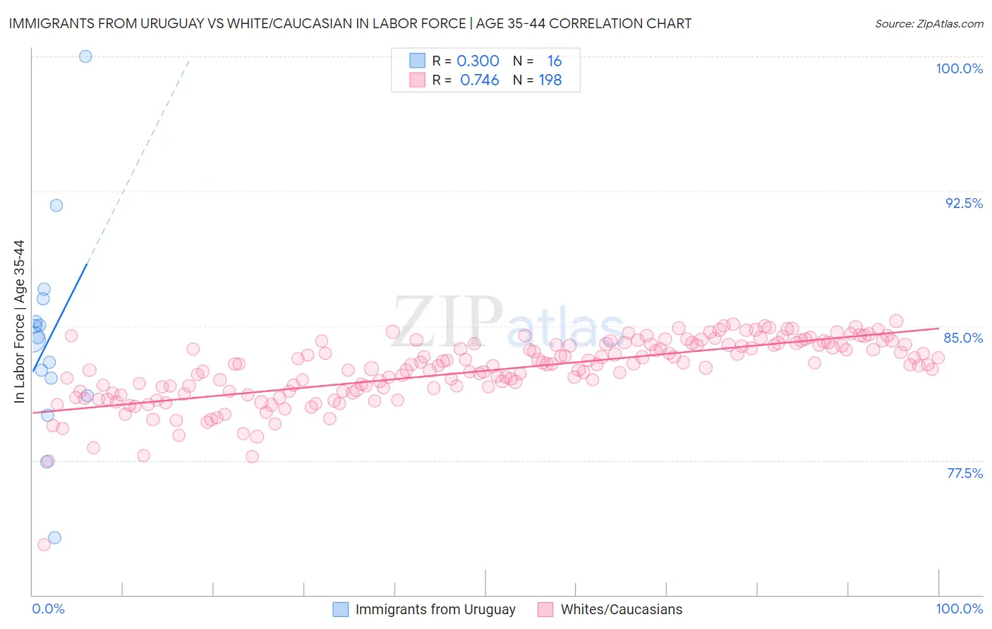 Immigrants from Uruguay vs White/Caucasian In Labor Force | Age 35-44