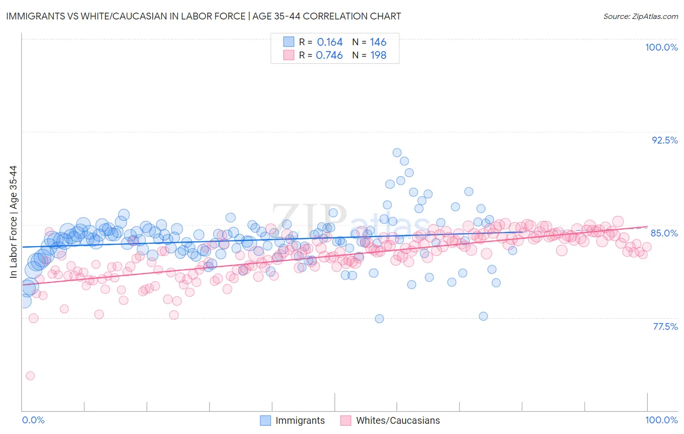 Immigrants vs White/Caucasian In Labor Force | Age 35-44