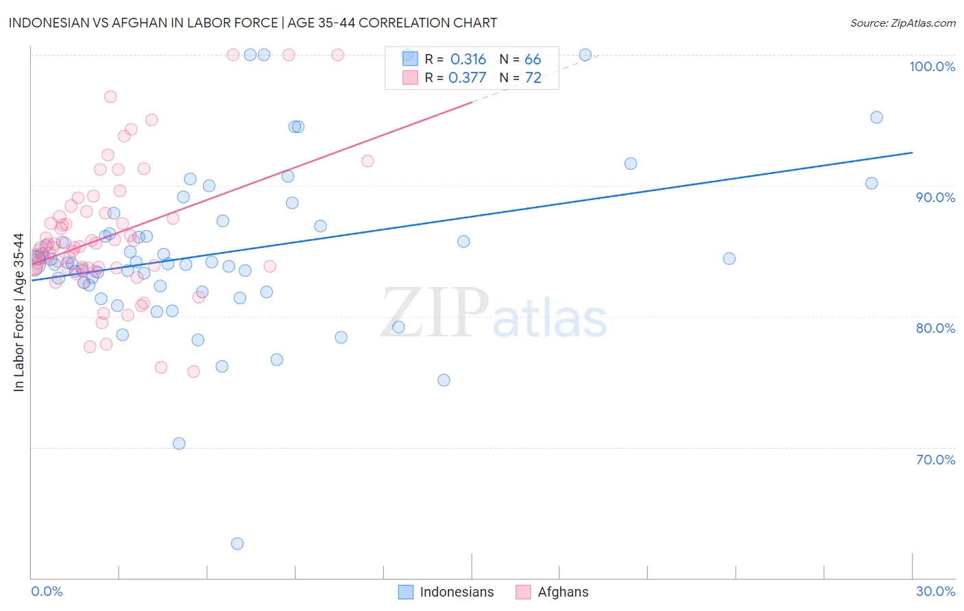 Indonesian vs Afghan In Labor Force | Age 35-44