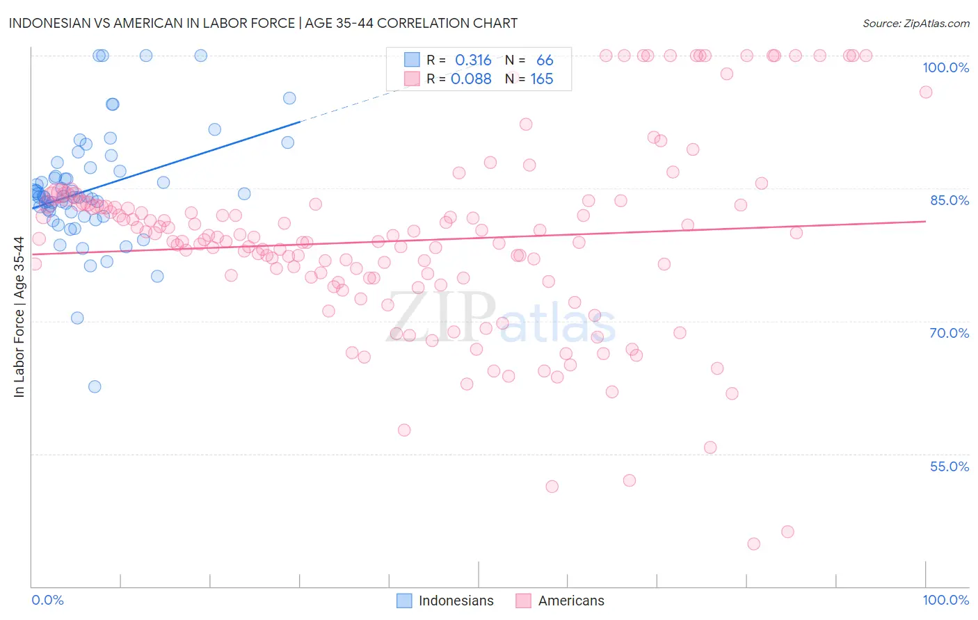 Indonesian vs American In Labor Force | Age 35-44