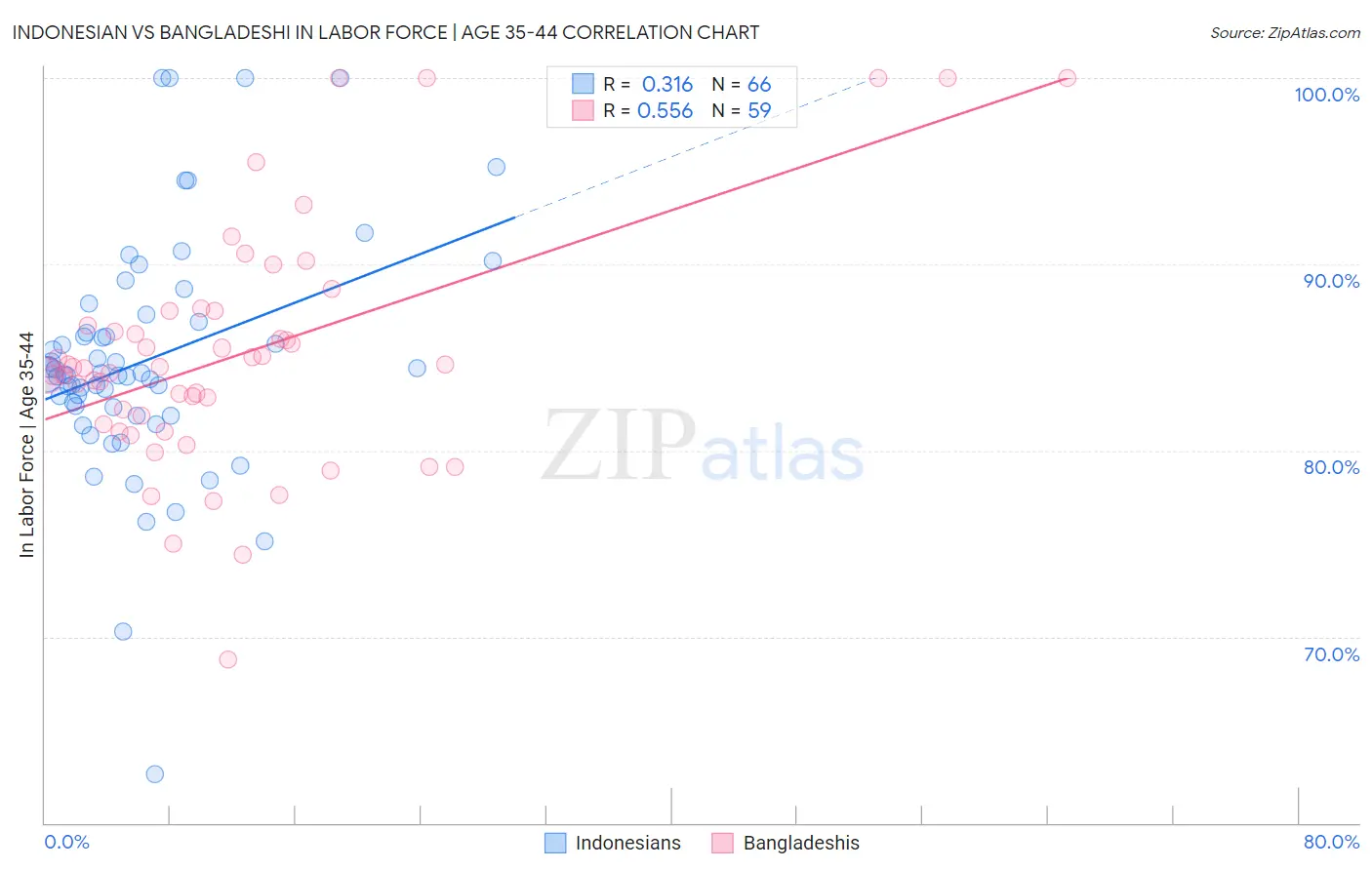 Indonesian vs Bangladeshi In Labor Force | Age 35-44