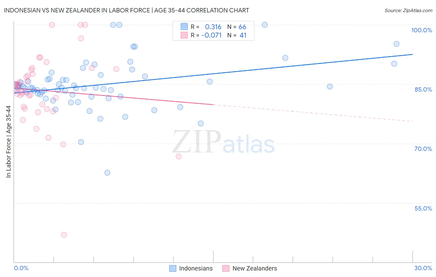 Indonesian vs New Zealander In Labor Force | Age 35-44
