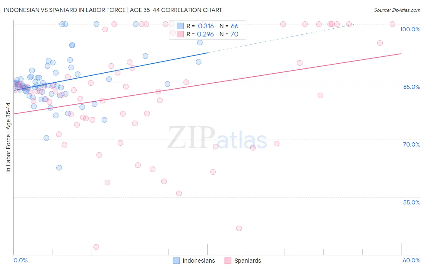 Indonesian vs Spaniard In Labor Force | Age 35-44