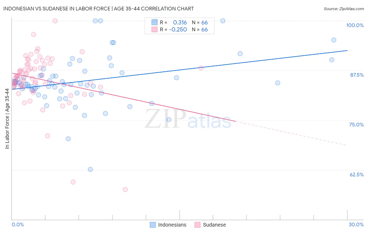 Indonesian vs Sudanese In Labor Force | Age 35-44