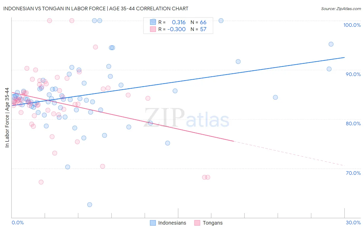 Indonesian vs Tongan In Labor Force | Age 35-44