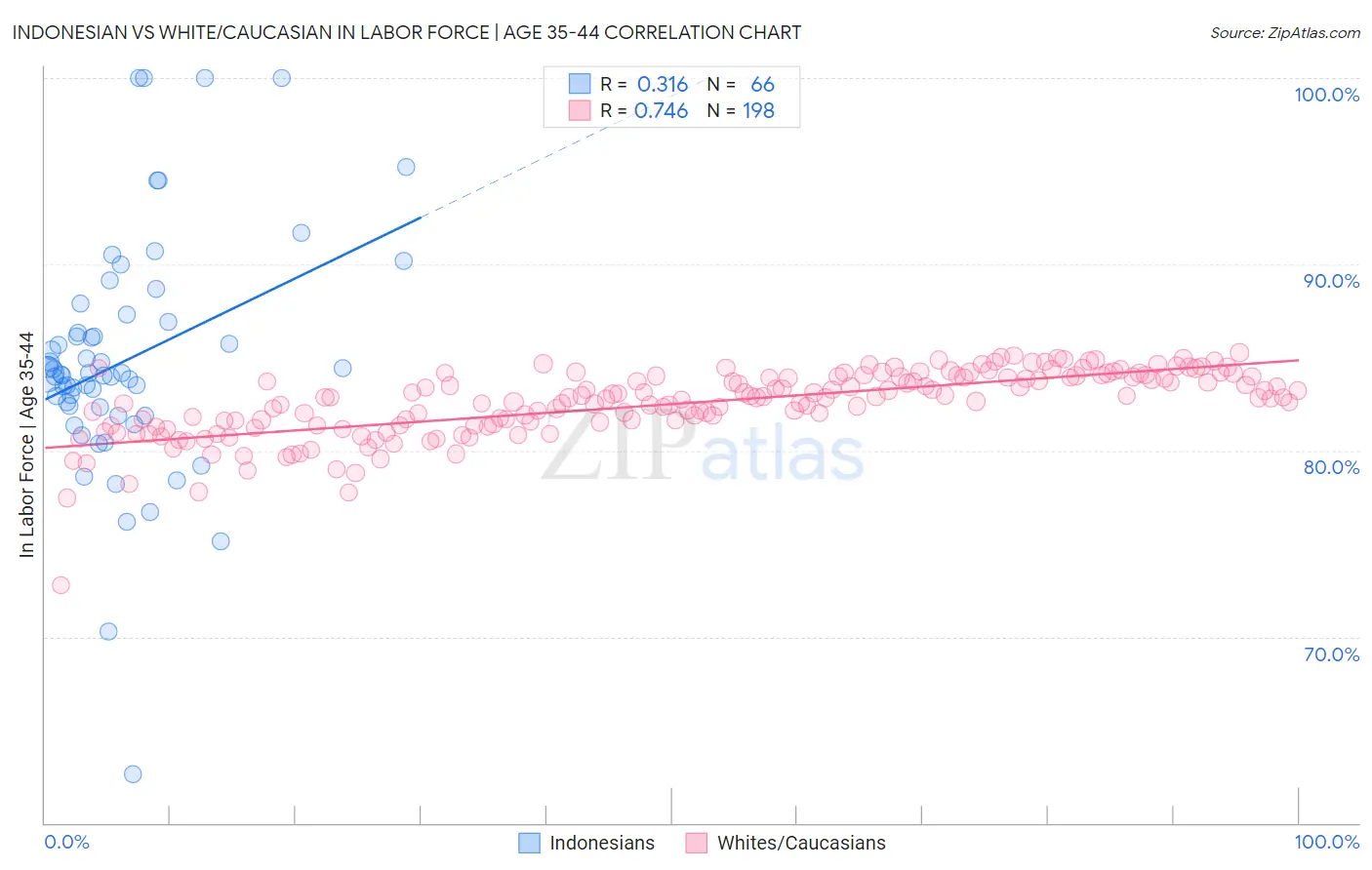 Indonesian vs White/Caucasian In Labor Force | Age 35-44