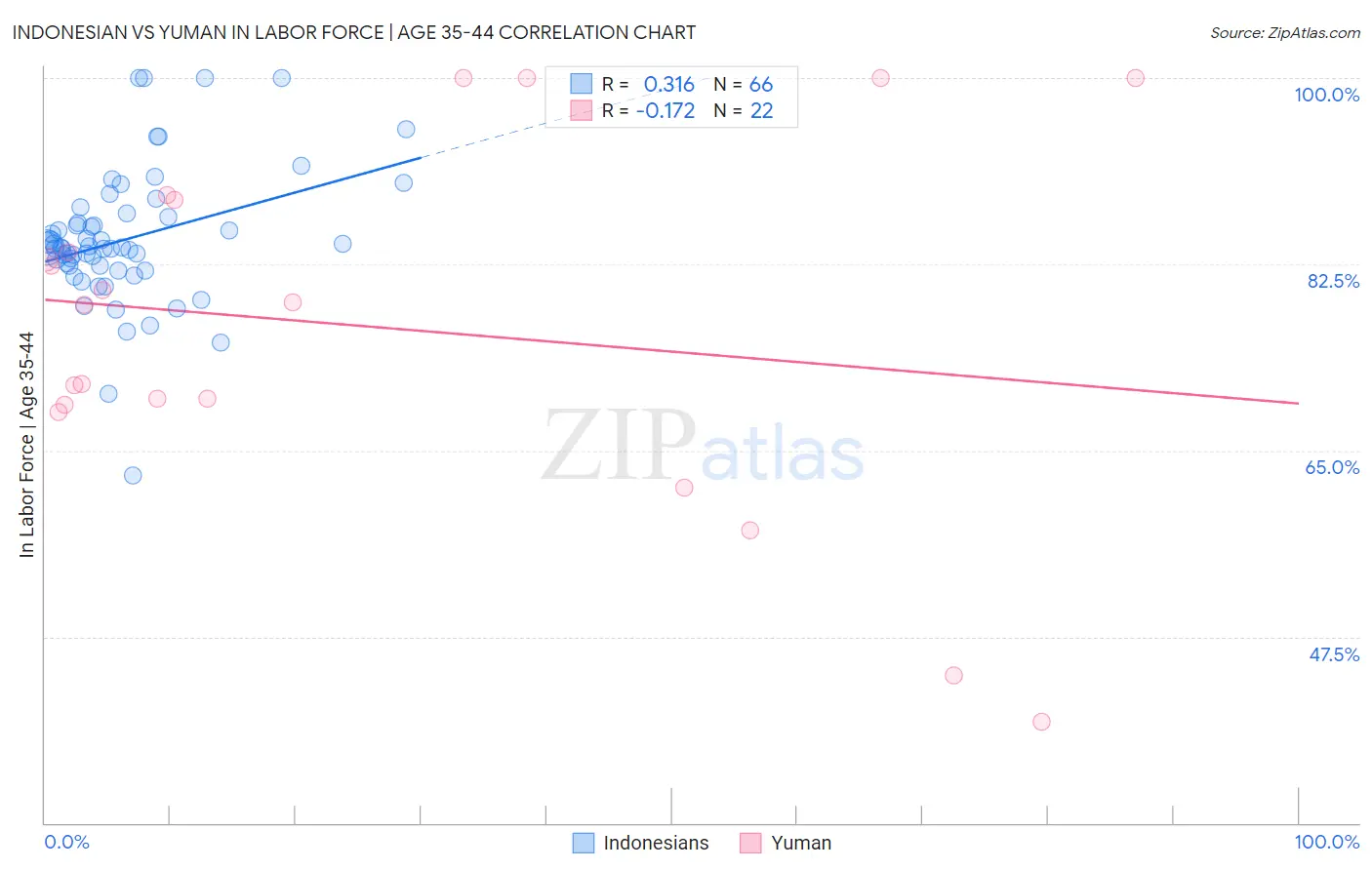 Indonesian vs Yuman In Labor Force | Age 35-44