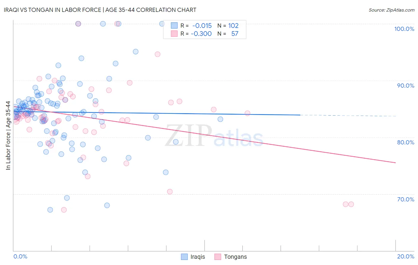 Iraqi vs Tongan In Labor Force | Age 35-44