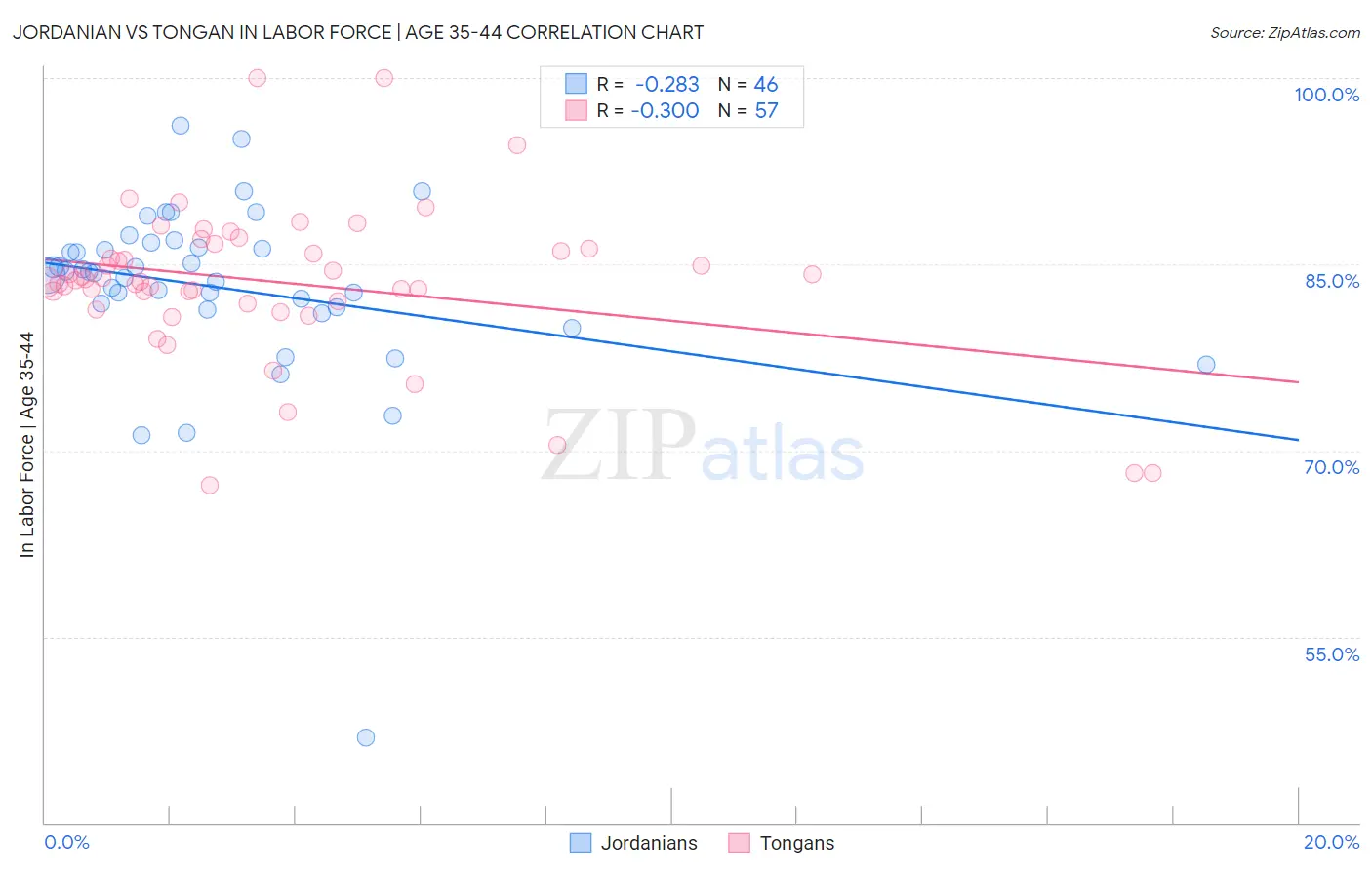 Jordanian vs Tongan In Labor Force | Age 35-44