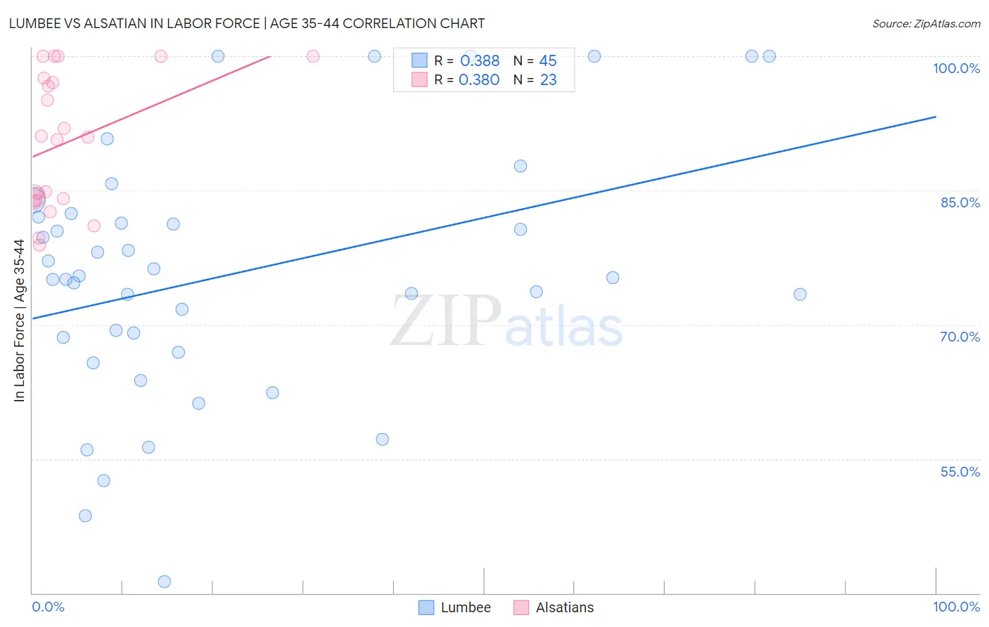 Lumbee vs Alsatian In Labor Force | Age 35-44